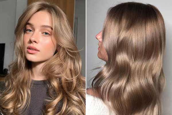 ���� ����� ����� �����